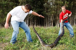 Devin Belliston and Blake Russ joined the Mormon Media Moment when their python hunting adventures gained local and national attention, Photo courtesy Devin Belliston