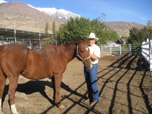 Utah County Commissioner Larry Ellertson raises horses in his spare time while he manages much of Utah County. (Photo by Haley Bissegger)