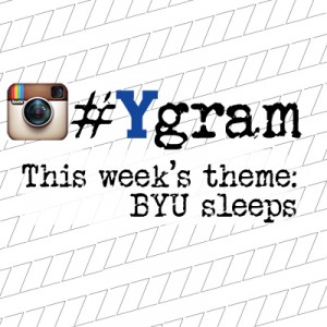 #Ygram promo freshman