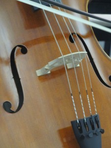 Taryn Lewis' cello. She learned to play at an early age. (Photo by Julianne Horsley)