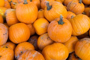 Pumpkins are a favorite holiday treat, but they also offer various health benefits. (Photo by Sarah Hill.)