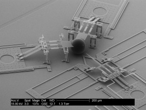 An image of the microscopic nanoinjector created by scientists at BYU for gene therapy.