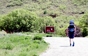 A hiker carrying his infant son begins going up the trail in Rock Canyon. (Photo by Katie Nielson)