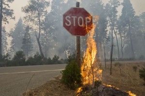 Fire burns near a 'Stop' sign  near Uncle Tom's Cabin in El Dorado County on Thursday,  Sept. 18, 2014. The King fire has burned over 70,000 acres. The wind-whipped fire burned through 114 square miles and was 10 percent contained, according to California Department of Forestry and Fire Protection. AP Photo