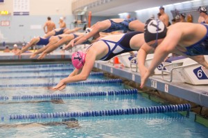 Alumni swimmers dive into the pool (Universe Photo)