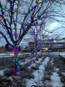 Christmas lights decorate Brigham Square early morning on the BYU campus. (Jenna Koford) 