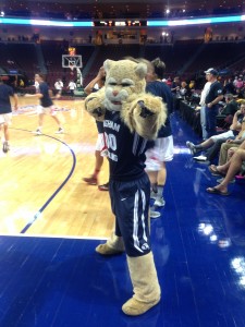 Congratulations to the winner of the WCC Mascot Madness challenge - Cosmo the Cougar from BYU (J Mason Nordfelt)