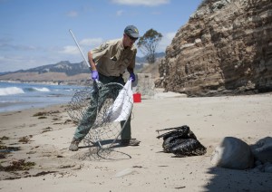 Mike Harris, of the California Department of Fish and Wildlife, prepares to rescue a pelican covered in oil on the beach about a mile west of Refugio State Beach, Calif., Wednesday, May 20, 2015. A broken onshore pipeline spewed oil down a storm drain and into the ocean for several hours Tuesday before it was shut off. (Kenneth Song/The News-Press via AP) MANDATORY CREDIT; SANTA MARIA TIMES OUT