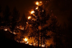 A tree is silhouetted by flames from wildfire above a home on Twisp River Road Thursday, Aug. 20, 2015, in Twisp, Wash. Firefighters were in place trying to protect structures, and most residents were running irrigation sprinklers overnight in hopes of protecting their homes. (AP Photo/Ted S. Warren)