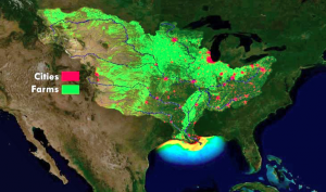  Map agricultural runoff in the Gulf of Mexico, where there are many dead zones. (Nature.org)