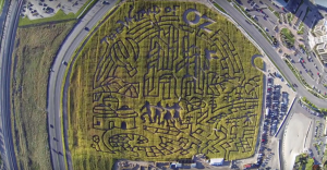 Cornbelly's maze theme last year was "The Wizard of Oz." This year's theme is "Minions." (YouTube)