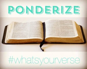 Memes with the coined term "ponderize" are all over Facebook. The T-shirts and wristbands on ponderize.us sported the question, "What's your verse?" (Facebook)