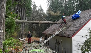 Joe Phelan, left, and Mitch Chapman, from Double D Tree, remove a tree, Wednesday, Nov. 18, 2015, in Olympia, Wash, that crashed through the roof of Stan and Becky Parker's detached garage in Olympia,Wash., the day before. Cleanup began Wednesday in Washington state after a powerful storm killed three people, cut power to more than 350,000 residents and flooded rivers. (Steve Bloom/The Olympian via AP)