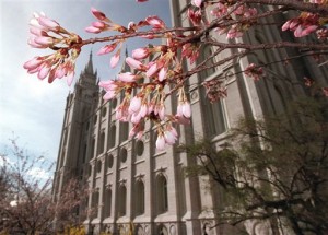 This March 31, 1998 photo shows flowering trees opening their blossoms just in time for Spring Conference on Temple Square. (Al Hartmann/The Salt Lake Tribune via AP) LOCAL STATIONS OUT; MAGS OUT; DESERET NEWS OUT; MANDATORY CREDIT DESERET NEWS OUT