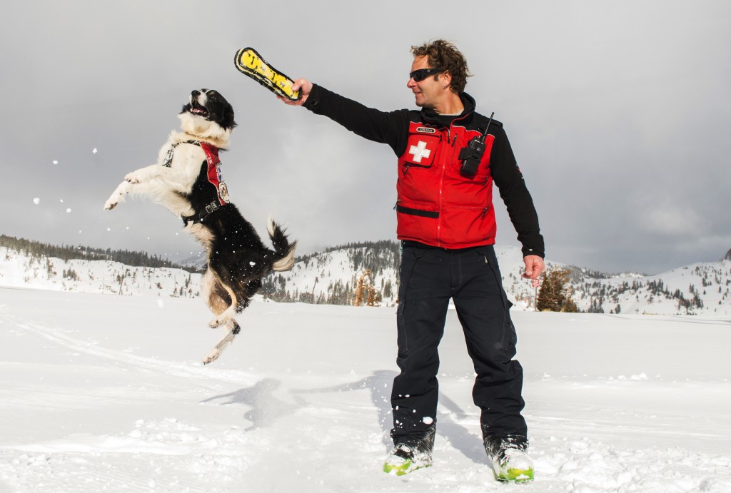 In this 2015 photo provided by Squaw Valley Alpine Meadows, dog supervisor Craig Noble puts his border collie Wylee through some paces on the mountain in Olympic Valley, Calif. Noble says dogs are better than any beacon or echo, as a good dog can check part of an avalanche grid in five or 10 minutes, the same time it would take 50 people hours to scour the same area. He has Squaw Valley Alpine Meadows and Crested Butte Mountain Resort all up to the same Canadian Avalanche Rescue Dog Association standards. (Matt Palmer/Squaw Valley Alpine Meadows via AP)