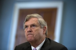 FILE - In this Oct. 7, 2015 file photo, Agriculture Secretary Tom Vilsack, pauses as he testifies on Capitol Hill in Washington before the House Agriculture Committee hearing on the 2015 Dietary Guidelines for Americans. Retailers that accept food stamps would have to start stocking a wider variety of healthy foods or face the loss of consumers under proposed rules expected to be announced by the Agriculture Department on Tuesday. (AP Photo/Carolyn Kaster)