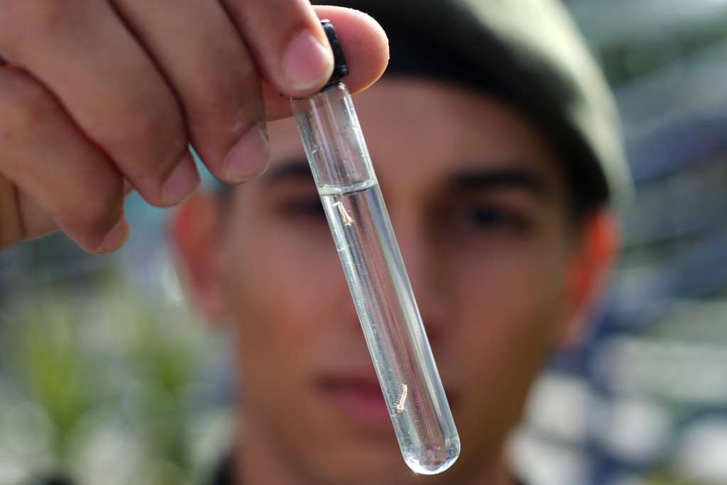An Army soldier shows Aedes aegypti larvae found in the school where Brazil's Minister of Health Marcelo Castro launched a national day of awareness to eradicate the Aedes aegypti mosquito, in Brasilia, Brazil, Friday, Feb. 19, 2016. The Aedes aegypti mosquito is a vector for the spread of the Zika virus, it lives largely inside homes and can lay eggs in even a bottle-cap's worth of stagnant water. (AP Photo/Eraldo Peres)