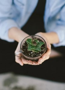 Allyssa Pike holds a plant potted in a glass teacup. This style of creatively potted plant is increasing in popularity among students. (Amy Ai Photography)