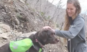 special backpack allows dogs to carry their own weight