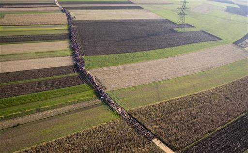 A column of migrants moves through fields after crossing from Croatia, in Rigonce, Slovenia. Over 65 million people have been displaced and classified as refugees. (AP Photo/Darko Bandic)