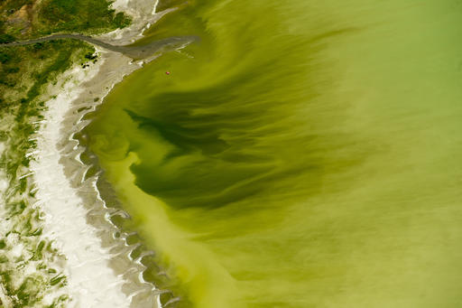 FILE - This July 14, 2016, file photo, shows discolored water caused by an algae bloom near the Lindon Marina in Utah Lake in Lindon, Utah. A huge toxic algal bloom in Utah has closed one of the largest freshwater lakes west of the Mississippi River, sickening more than 100 people and leaving farmers scrambling for clean water. The bacteria commonly known as blue-green algae has spread rapidly to cover almost all of 150-square-mile Utah Lake, turning the water a bright, anti-freeze green and leaving scummy foam along the shore. (Rick Egan/The Salt Lake Tribune via AP, File)