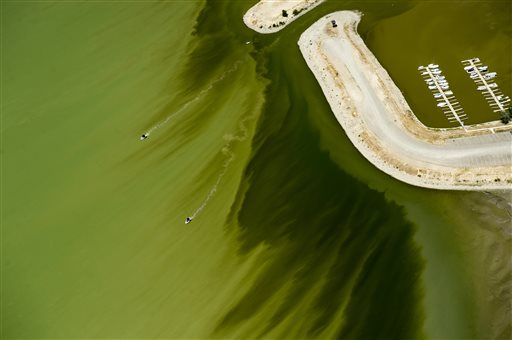 A couple of boats sail through discolored water caused by an algae bloom near the Lindon Marina in Utah Lake in Lindon, Utah. Utah County health officials said at least eight people have fallen ill after interactions in Utah Lake, which has a potentially toxic algae bloom. (Rick Egan/The Salt Lake Tribune via AP)
