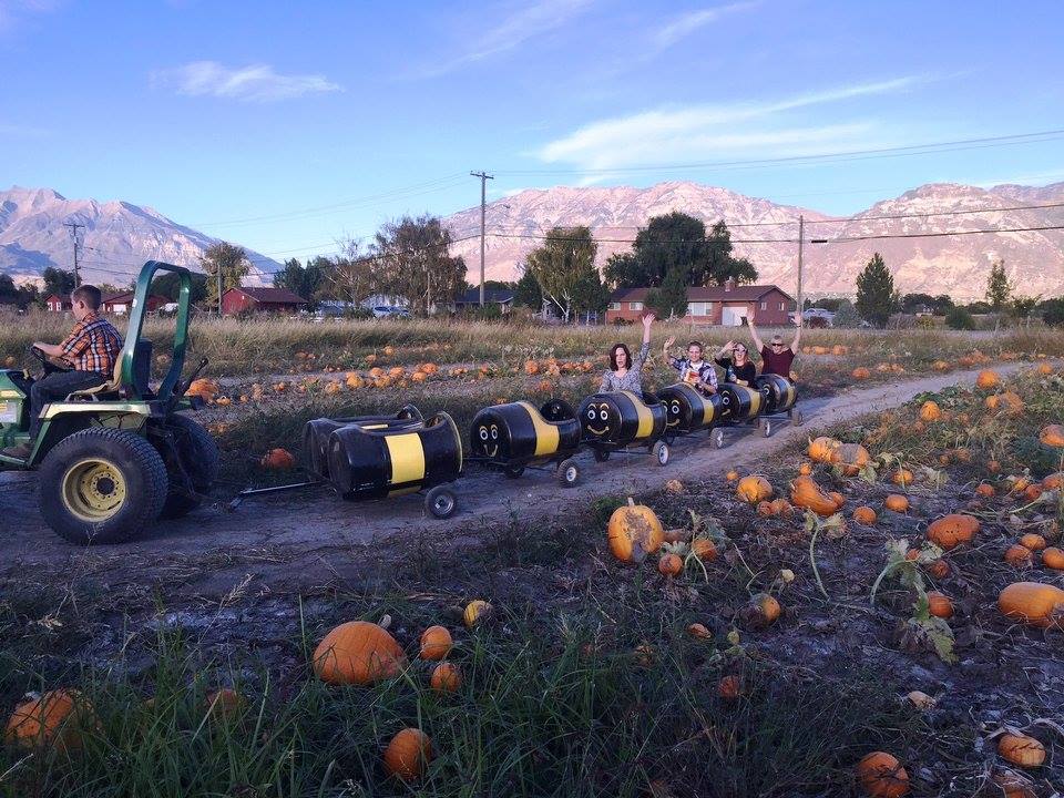 Pumpkins and a tractor at Provo Corn Maze. (Provo Corn Maze)