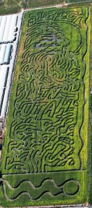 The Bigfoot corn maze design at Provo Corn Maze. (Provo Corn Maze)