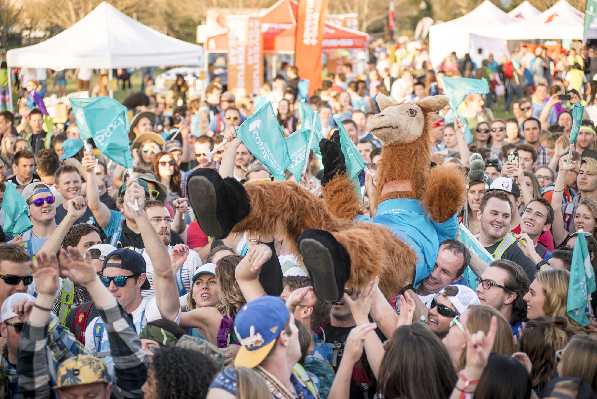 People carry a crowd-surfing llama at the Questival kick-off festival. (Ethan White)