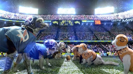 Super Bowl ad pits cats vs. dogs for a cause - The Daily 