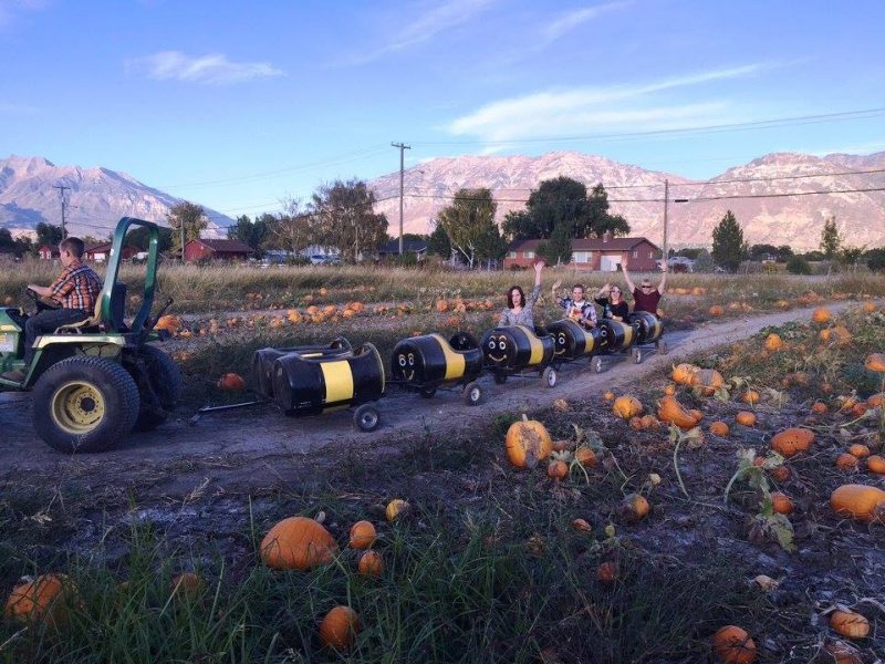 17 Halloweenthemed Utah activities to do this October The Daily Universe