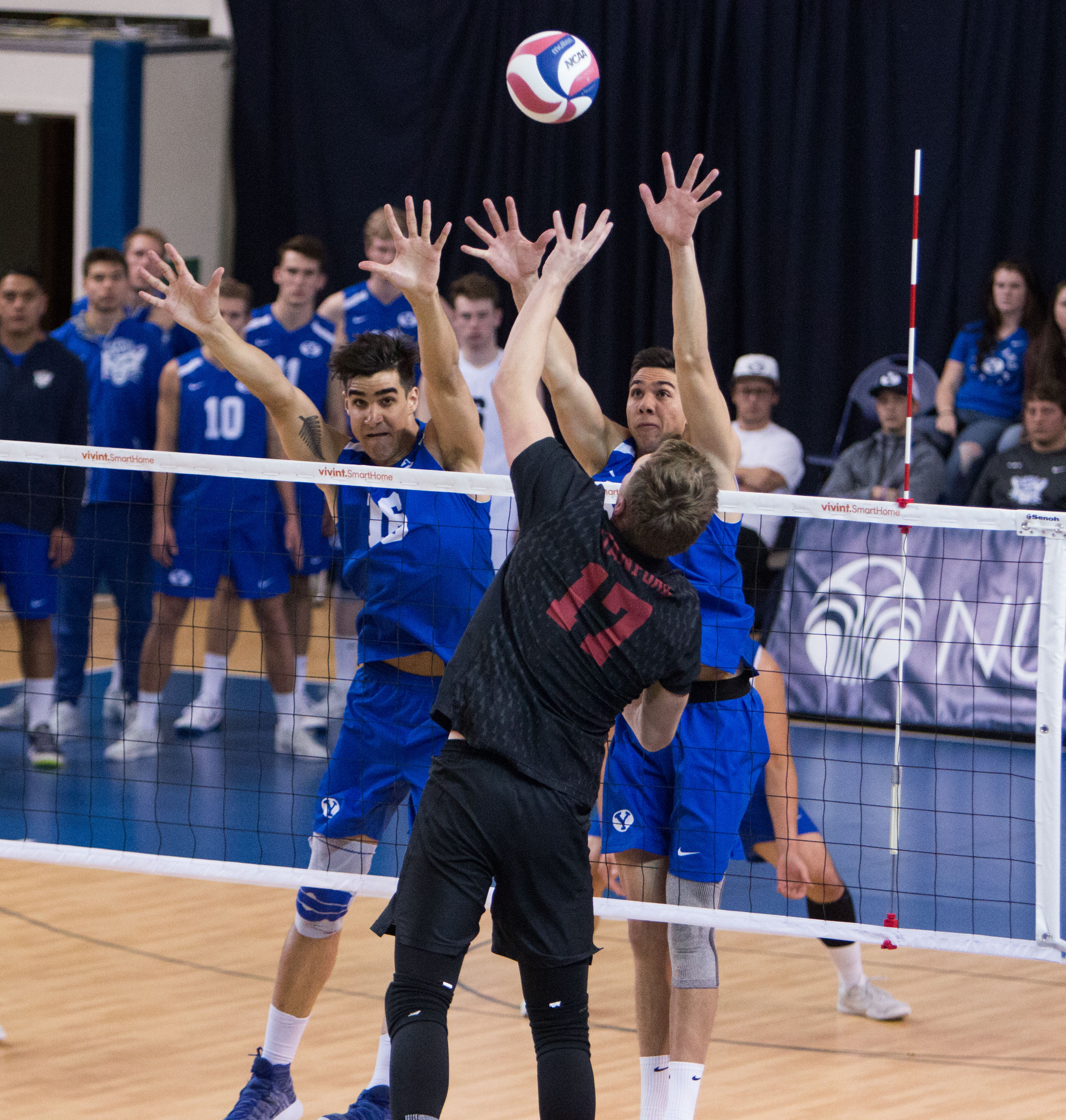 Photo gallery: BYU men's volleyball vs. Stanford (Feb. 24, 2018) - The ...