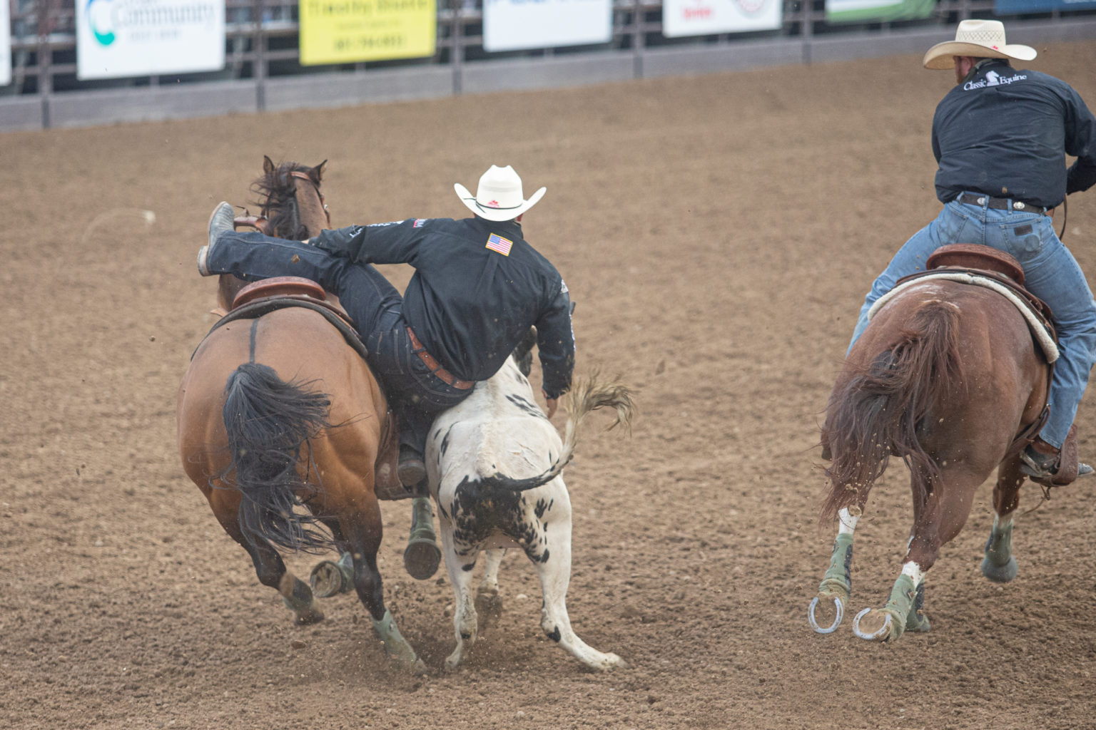Photo story Fiesta Days Rodeo looks different this year The Daily