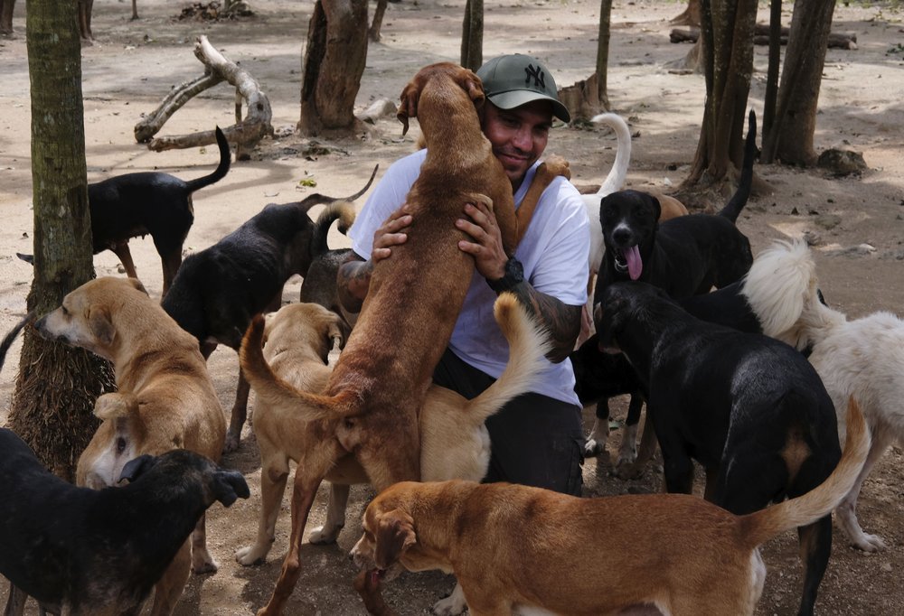 Good News Thursday: Man shelters over 300 animals during hurricane,  unlikely pair run a marathon - The Daily Universe