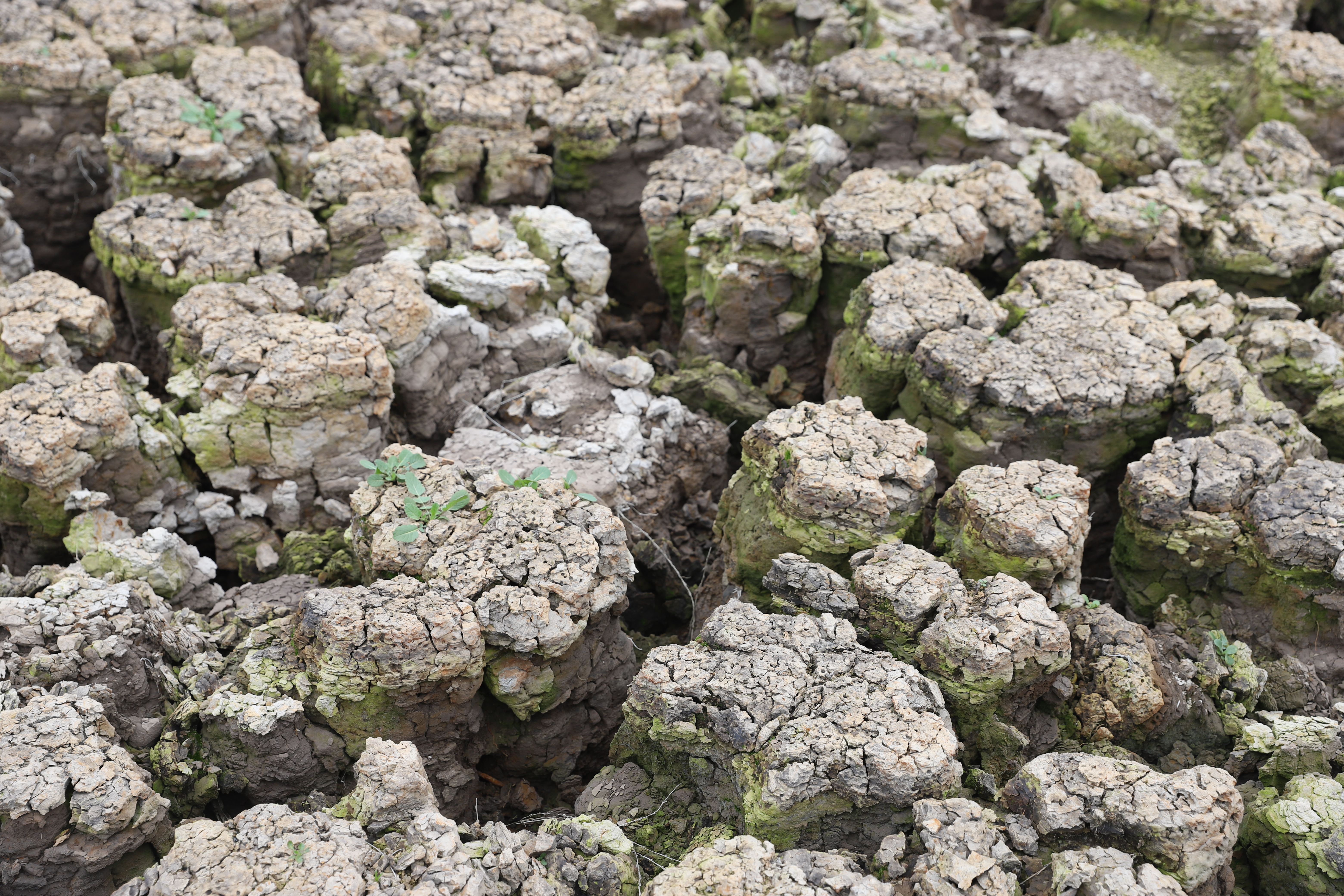 An effective climate change solution may lie in rocks beneath our feet
